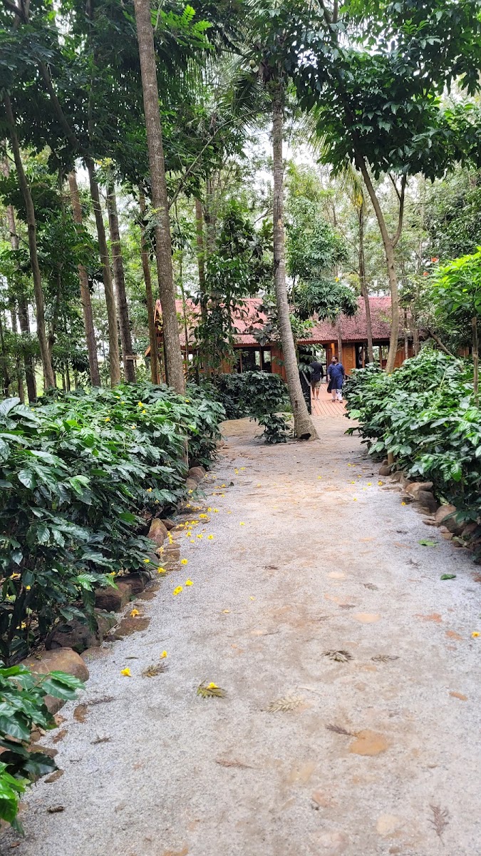 Citrus Trail Farm & Kitchen — Banquet Hall in Bannerghatta Road, Bangalore (on-site parking, in-house decoration, DJ permitted, bar service available)