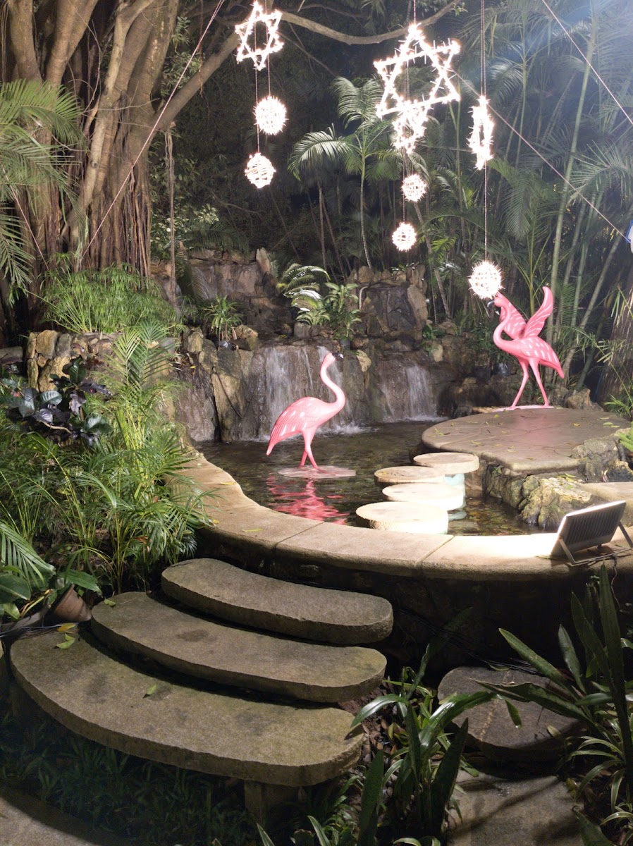 Miraya Greens — Banquet Hall in Bannerghatta Road, Bangalore (on-site parking, in-house decoration, DJ permitted, bar service available) — photo 4