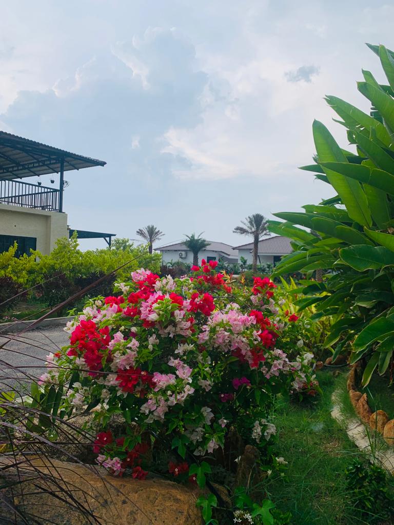 Mjr Resorts — Banquet Hall in Sangareddy, Hyderabad (on-site parking, in-house decoration, bar service available, 800–1400 guest capacity) — photo 4