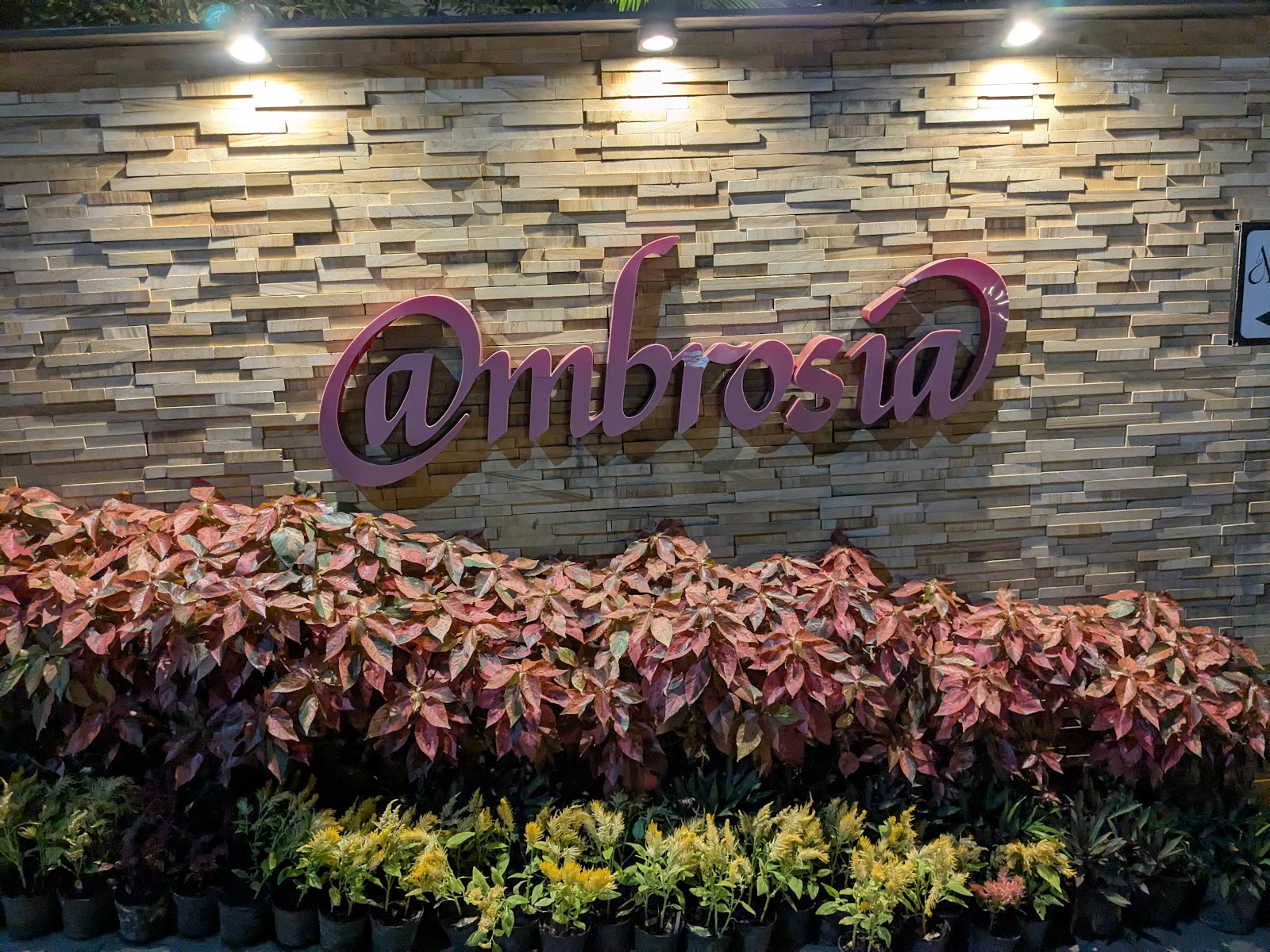 Ambrosia — Banquet Hall in Rajarajeshwari Nagar, Bangalore (on-site parking, in-house decoration, DJ permitted, bar service available) — photo 4