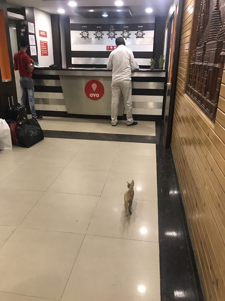 Hotel Prestige — Banquet Hall in Secunderabad, Hyderabad (on-site parking, in-house decoration, bar service available, 250–300 guest capacity) — photo 4