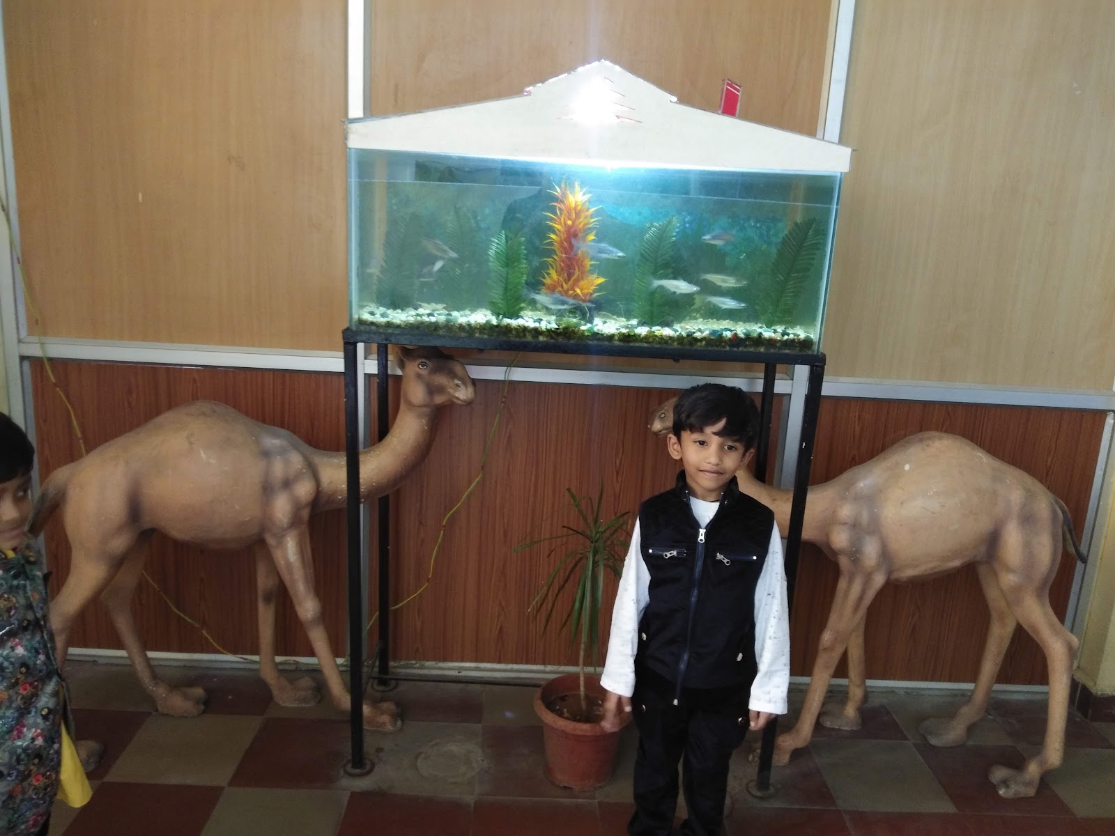 Sai Latha Mini Function Hall — Banquet Hall in Chilkalguda, Hyderabad (on-site parking, in-house decoration, DJ permitted, bar service available) — photo 3