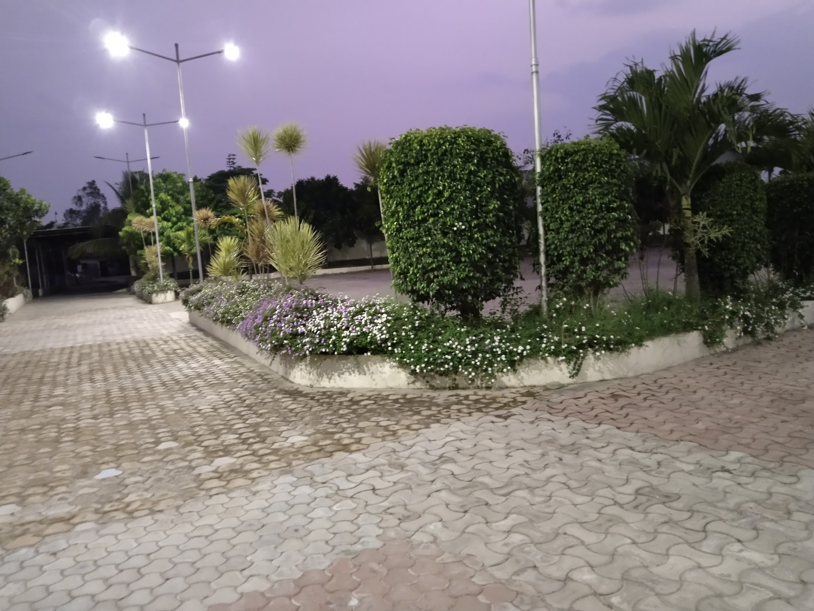 Suryadevara Gardens — Banquet Hall in Nizampet, Hyderabad (on-site parking, in-house decoration, DJ permitted, bar service available) — photo 3