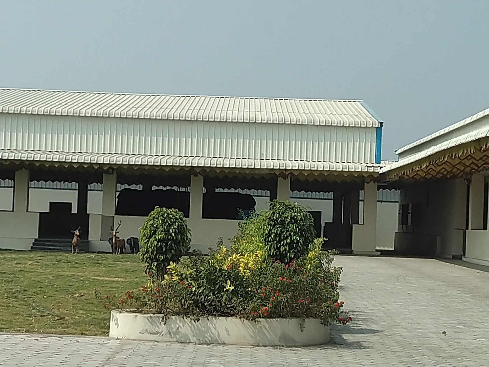 Suryadevara Gardens — Banquet Hall in Nizampet, Hyderabad (on-site parking, in-house decoration, DJ permitted, bar service available) — photo 4