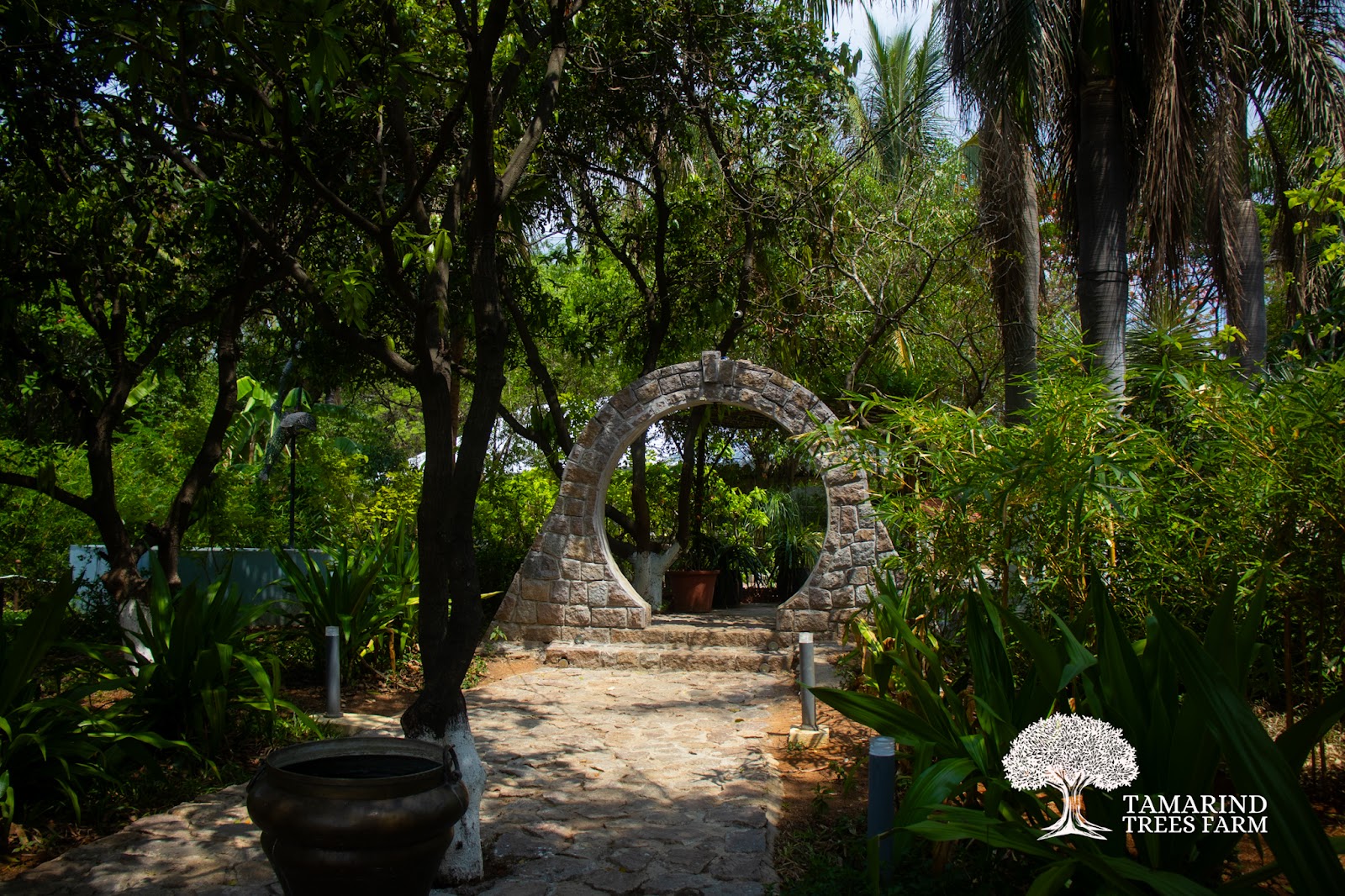 Tamarind Trees Farmhouse — Farm House in Hyderabad (on-site parking, in-house decoration, bar service available, 400–600 guest capacity)