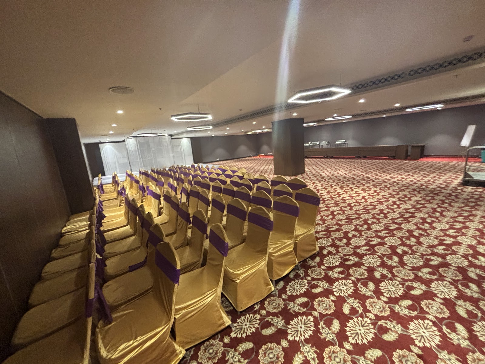 Minerva Bluefox Banquets — Banquet Hall in Kothapet, Hyderabad (on-site parking, in-house decoration, outside catering allowed, bar service available) — photo 3