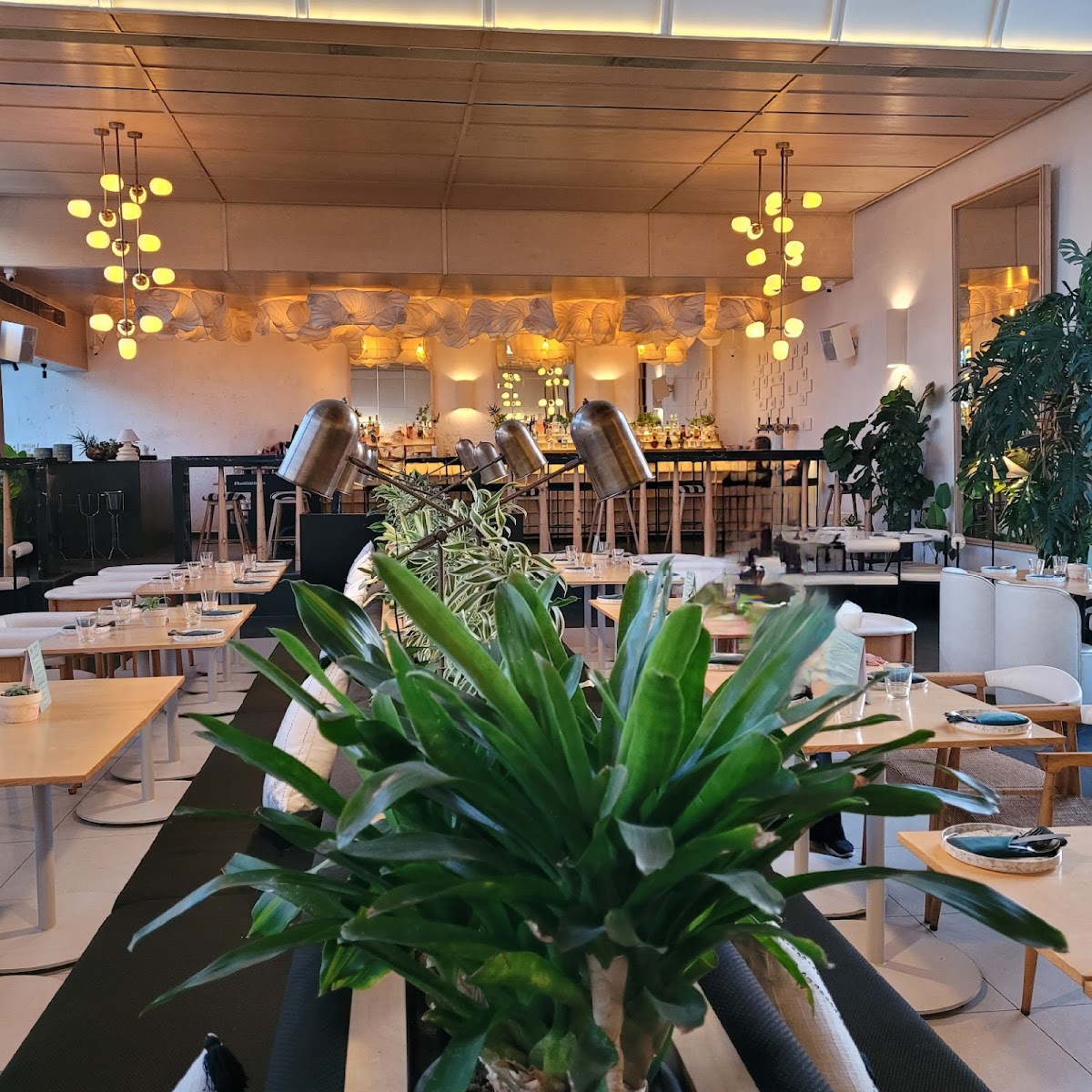 Brassa — Banquet Hall in Ashok Nagar, Bangalore (on-site parking, in-house decoration, DJ permitted, bar service available) — photo 4