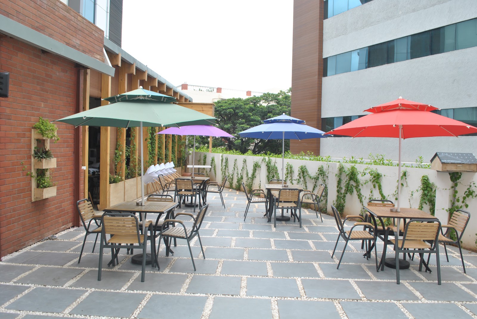 Aura Cafe & Infusion Bar — Restaurant in Jubilee Hills, Hyderabad (on-site parking, in-house decoration, DJ permitted, bar service available)