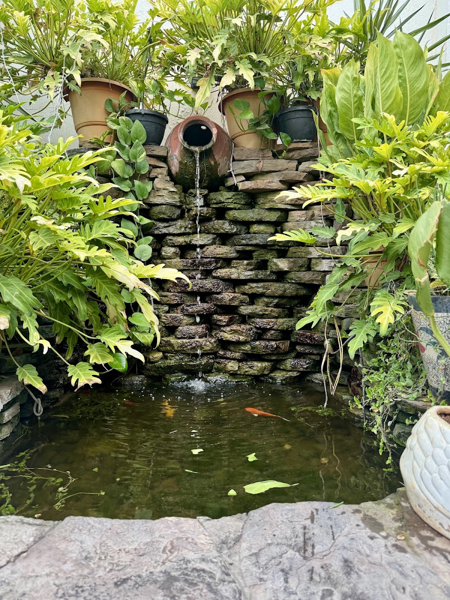 AnTeRa Kitchen and Bar · Jubilee Hills — Pub/Bar in Jubilee Hills, Hyderabad (on-site parking, in-house decoration, DJ permitted, bar service available) — photo 4