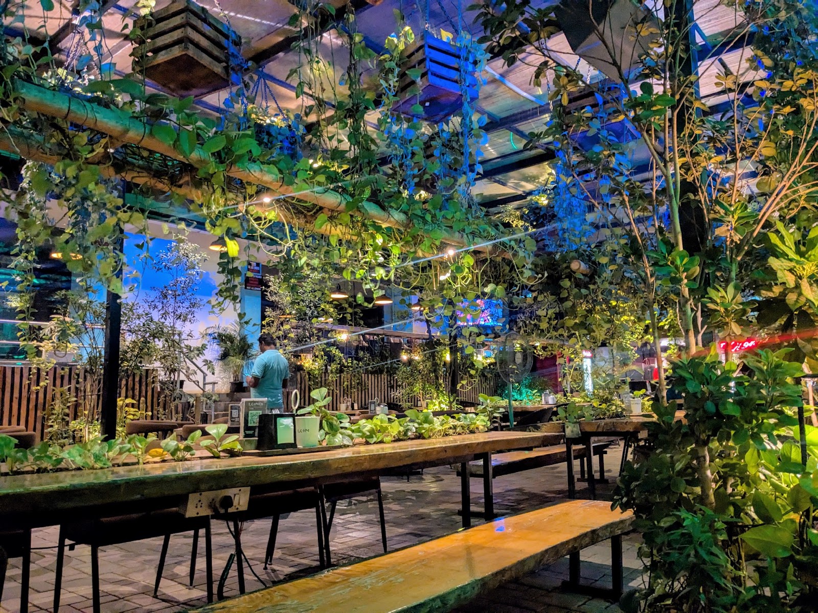 Lono Tropical Lounge — Pub/Bar in Indiranagar, Bangalore (on-site parking, in-house decoration, DJ permitted, bar service available) — photo 4