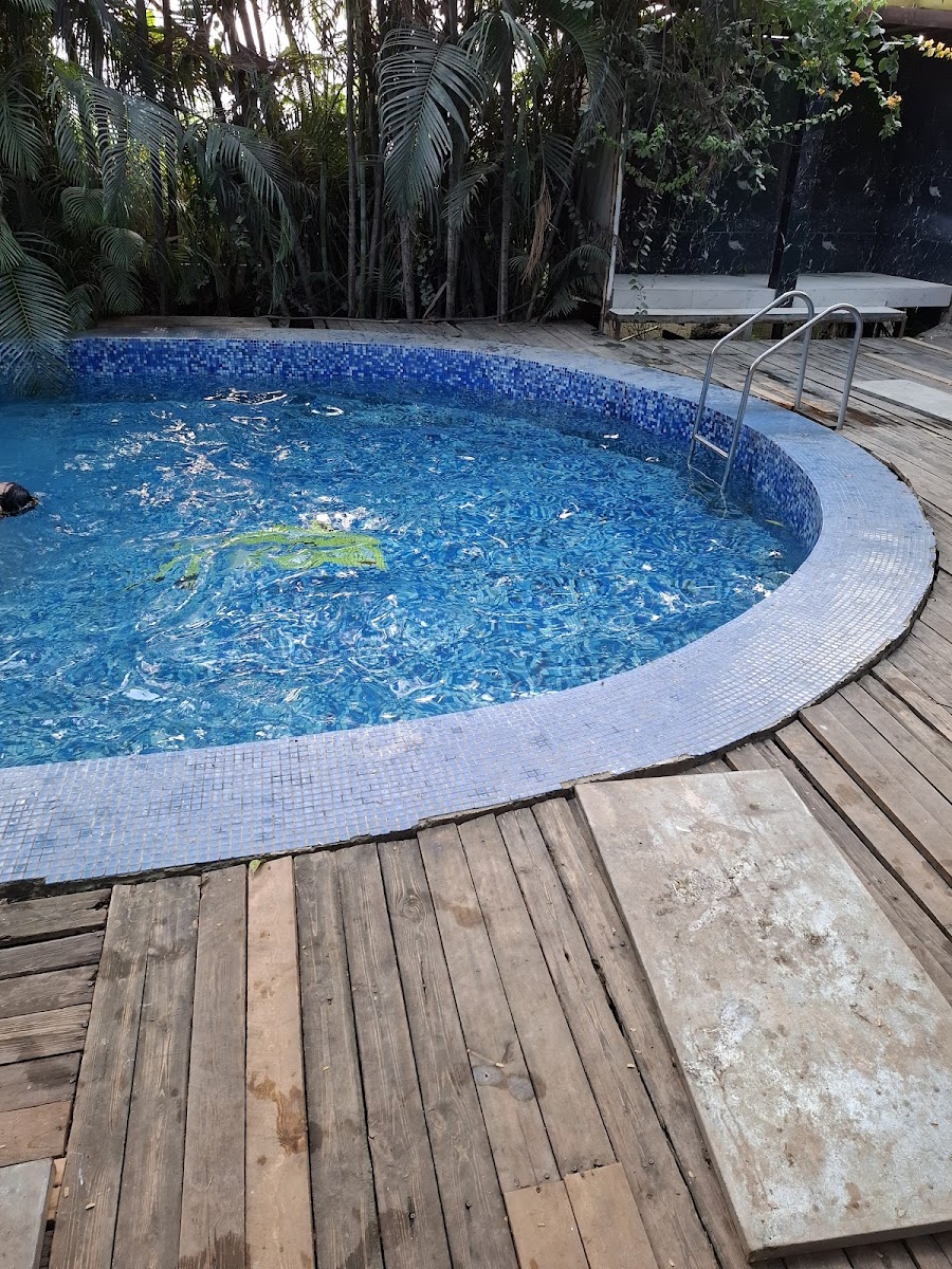 Ali Farm House — Farm House in Shamshabad, Hyderabad (on-site parking, in-house decoration, bar service available, 4.2★ rated) — photo 2