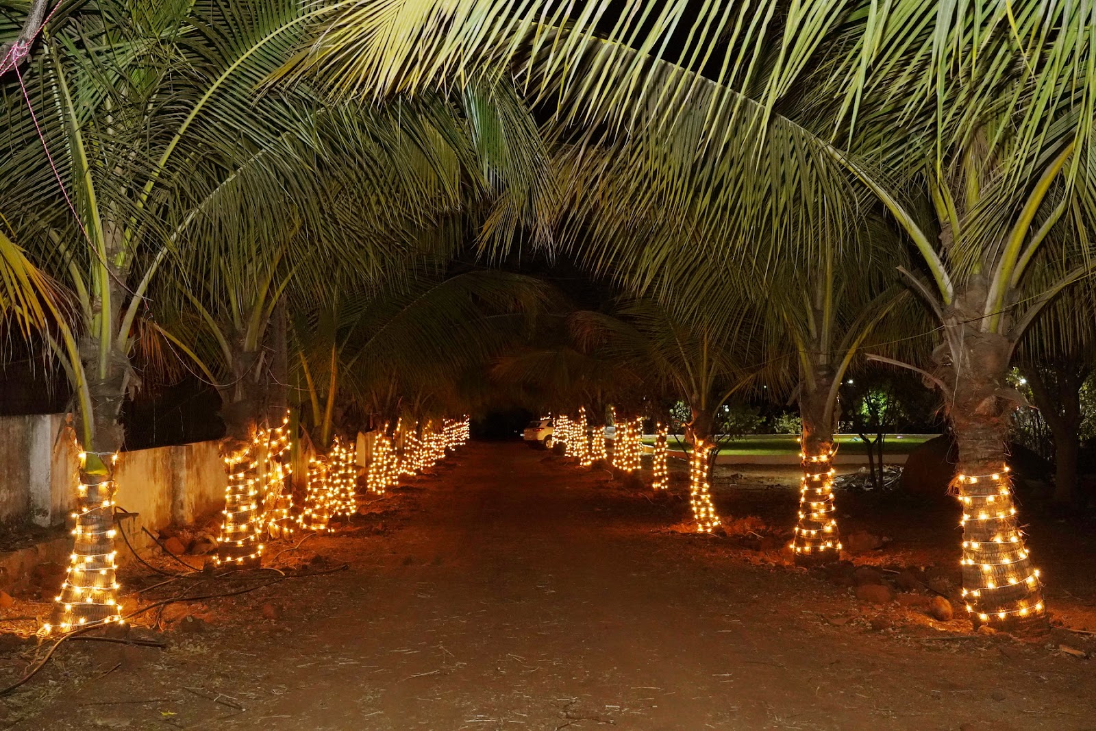 Forest Haven Farms — Banquet Hall in Moinabad, Hyderabad (on-site parking, in-house decoration, DJ permitted, bar service available) — photo 2