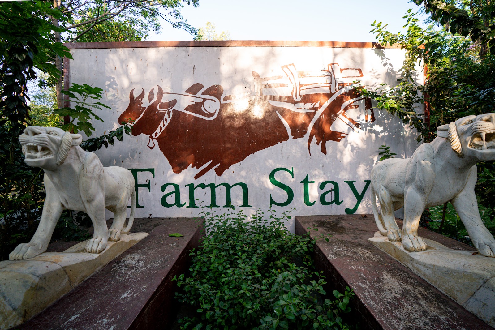 Farm Stay Resort · Shamirpet — Resort in Shamirpet, Hyderabad (on-site parking, in-house decoration, DJ permitted, bar service available) — photo 4