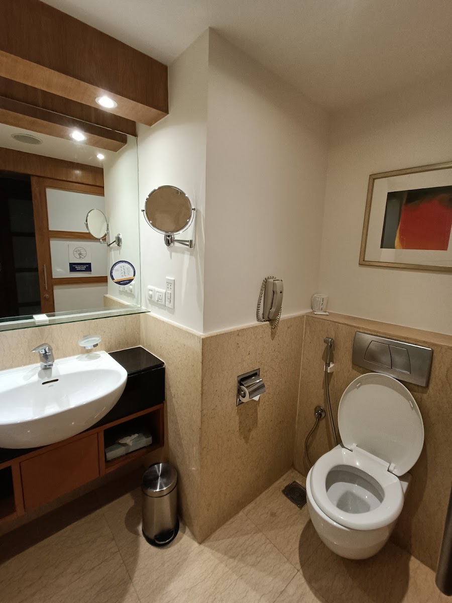 Novotel Hyderabad Convention Centre — Banquet Hall in Kondapur, Hyderabad (on-site parking, in-house decoration, outside catering allowed, DJ permitted) — photo 4