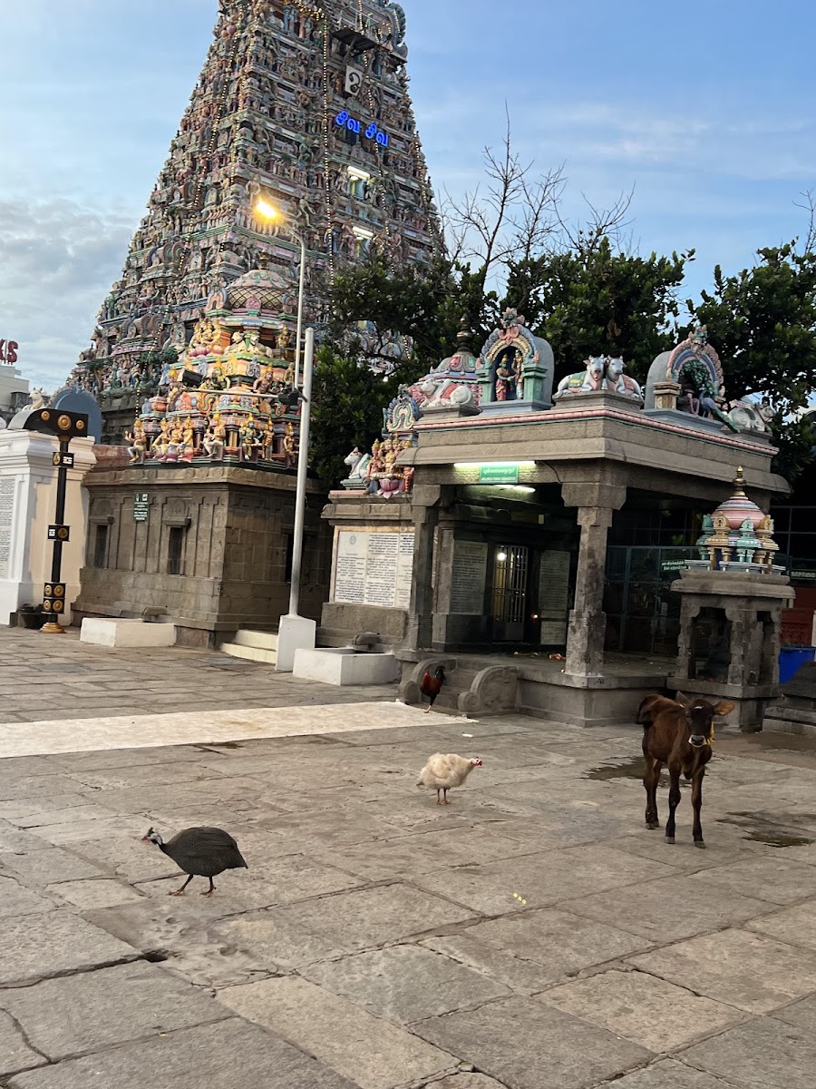 Rasikha Priya Hall — Banquet Hall in Virugambakkam, Chennai (on-site parking, in-house decoration, bar service available, 150–180 guest capacity) — photo 2