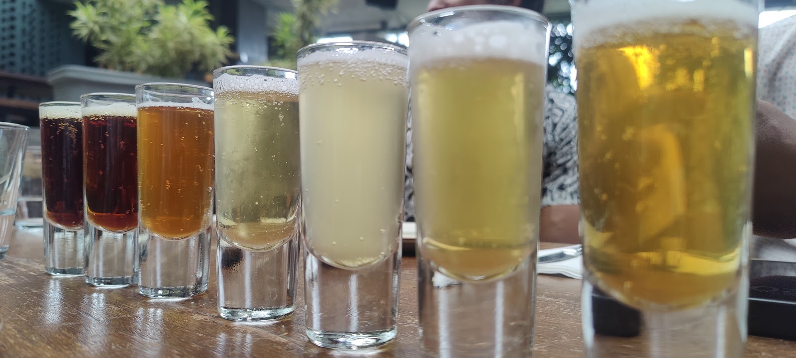The Druid Garden — Banquet Hall in Sahakara Nagar, Bangalore (on-site parking, in-house decoration, DJ permitted, bar service available) — photo 4