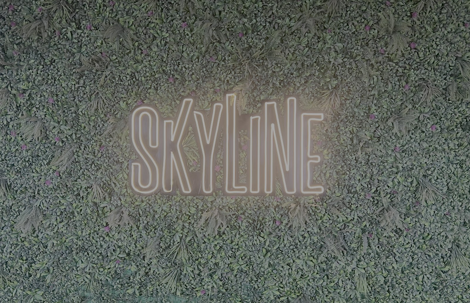 Skyline Rooftop Bar & Kitchen — Pub/Bar in Marathahalli, Bangalore (on-site parking, in-house decoration, DJ permitted, bar service available) — photo 3