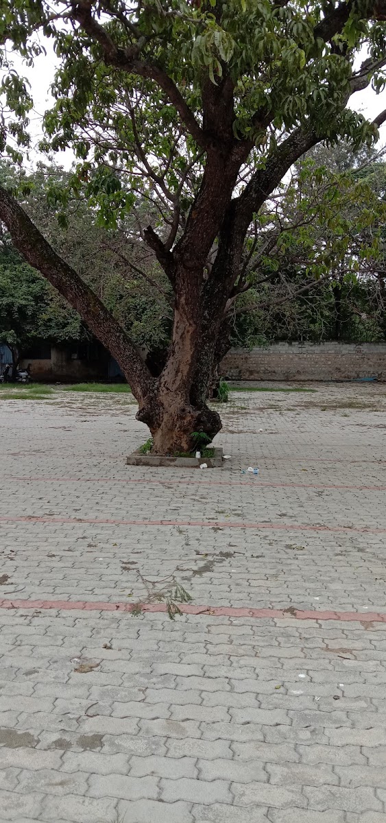 Shadaab Shadi Mahal — Banquet Hall in Frazer Town, Bangalore (on-site parking, in-house decoration, DJ permitted, bar service available) — photo 3