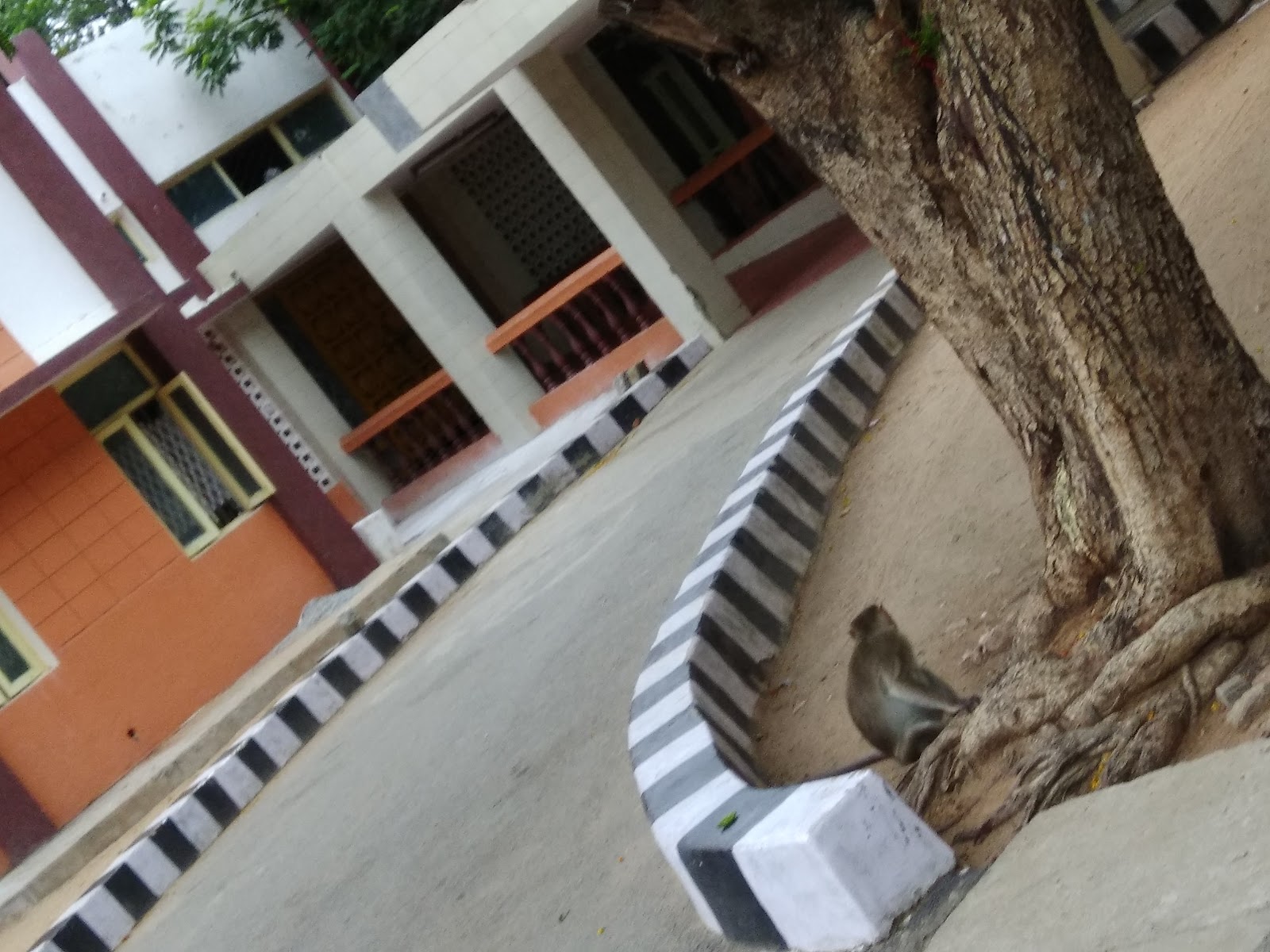 Srinivasa Kalyana Mantapa · Chamrajpet — Banquet Hall in Chamrajpet, Bangalore (on-site parking, in-house decoration, DJ permitted, bar service available) — photo 4